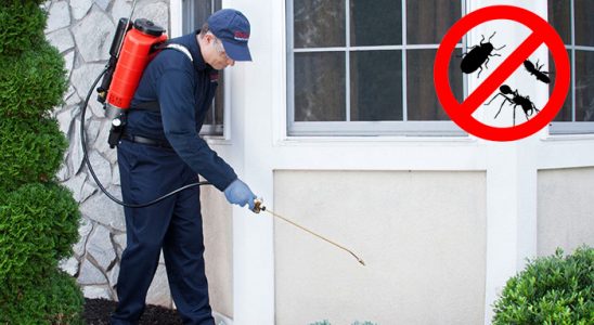 Cihanbeyli Bit İlaçlama böcek ilaçlama ve haşere kontrolü — ilaclama-tr.com